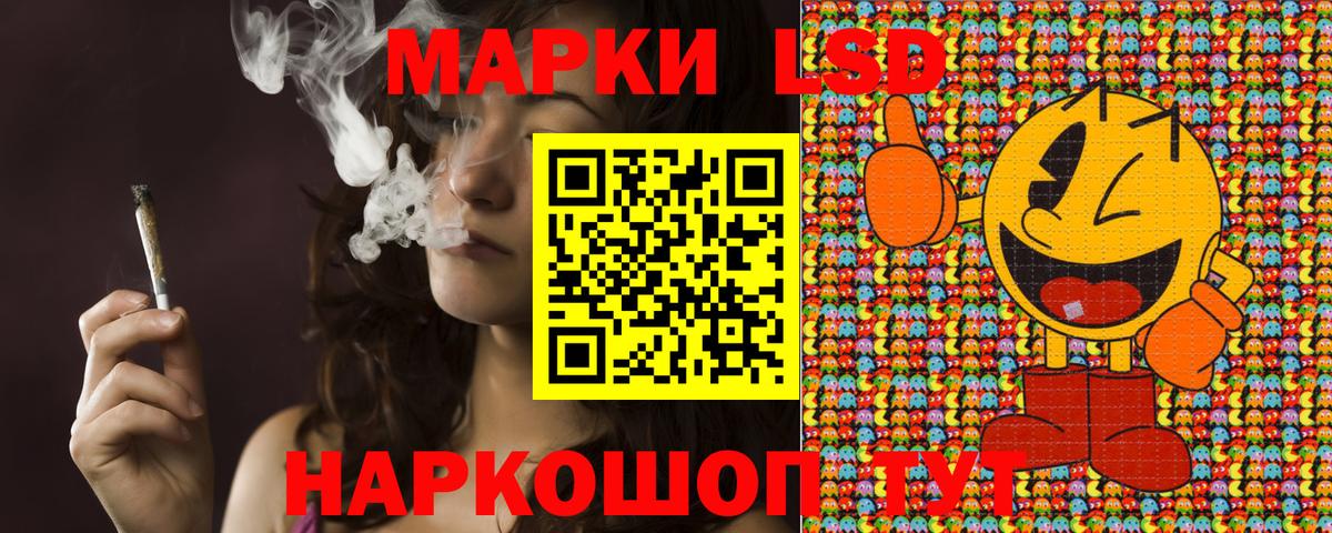 APVP Тамбов