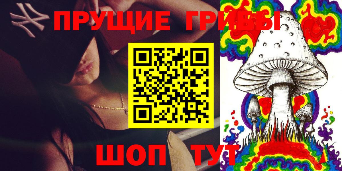 Галлюциногенные грибы Cubensis Тамбов