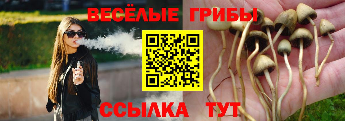 Псилоцибиновые грибы Magic Shrooms  Псилоцибиновые грибы Psilocybine cubensis  Тамбов  Вход с VPN 